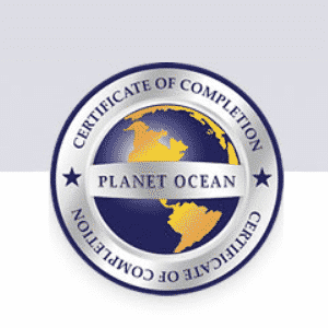SEO Badge - PlanetOcean | Four Tech Solutions | Leesburg VA